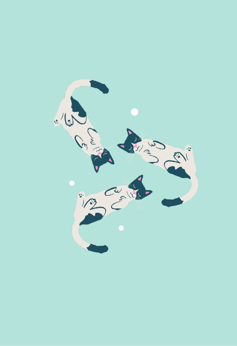 Sleep When You’re Feeling Overwhelmed single Clementine Shop 