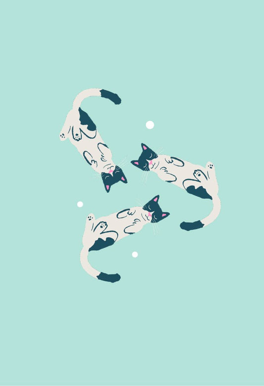 Sleep When You’re Feeling Overwhelmed single Clementine Shop 