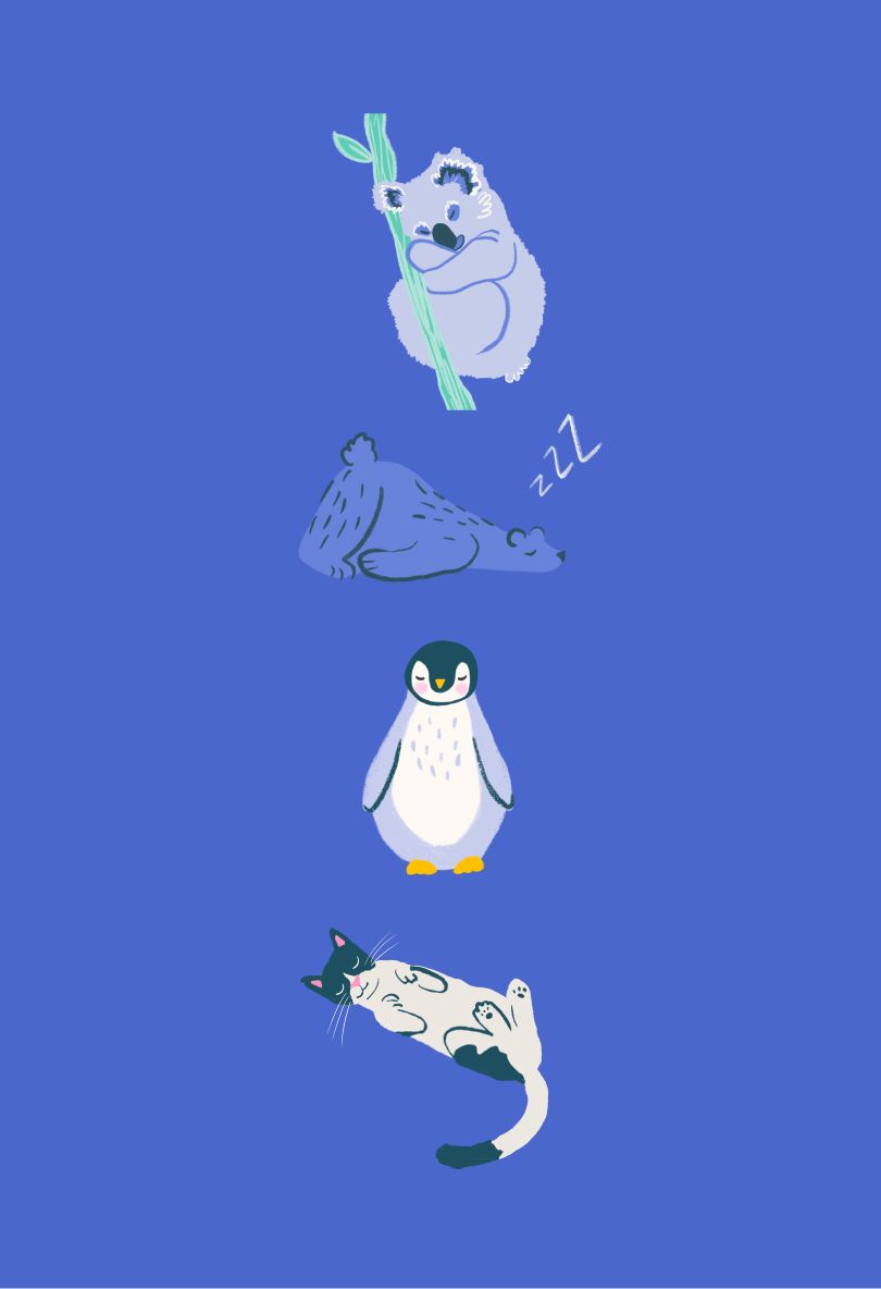 Fall Asleep When Your Minds Too Loud Bundle bundle Clementine Shop 