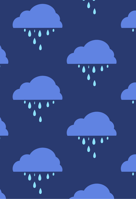 Single Rain and Thunder Soundscape