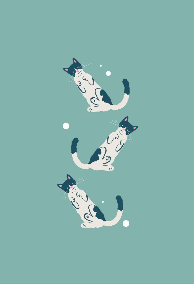 Unwind & Release Overwhelm single Clementine Shop 