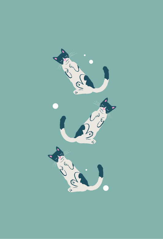 Unwind & Release Overwhelm single Clementine Shop 