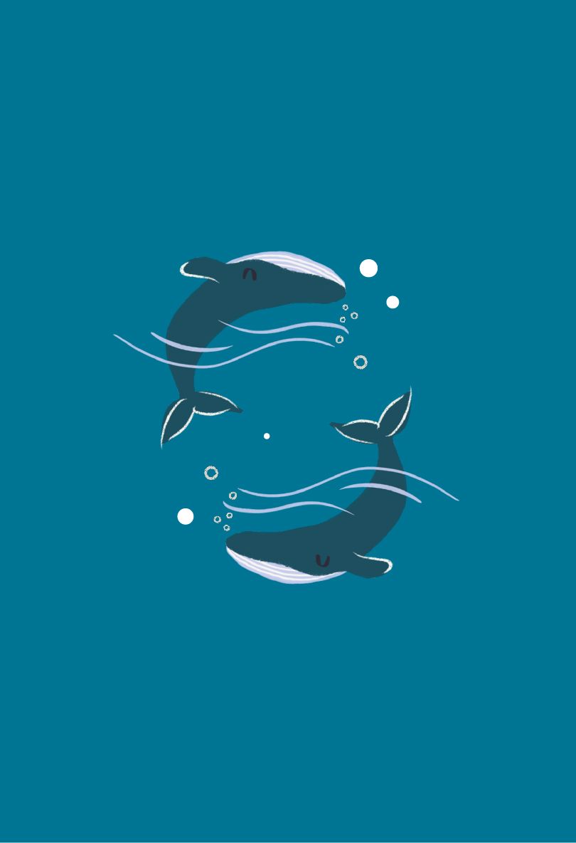 Wide Awake At 3am? single Clementine Shop 