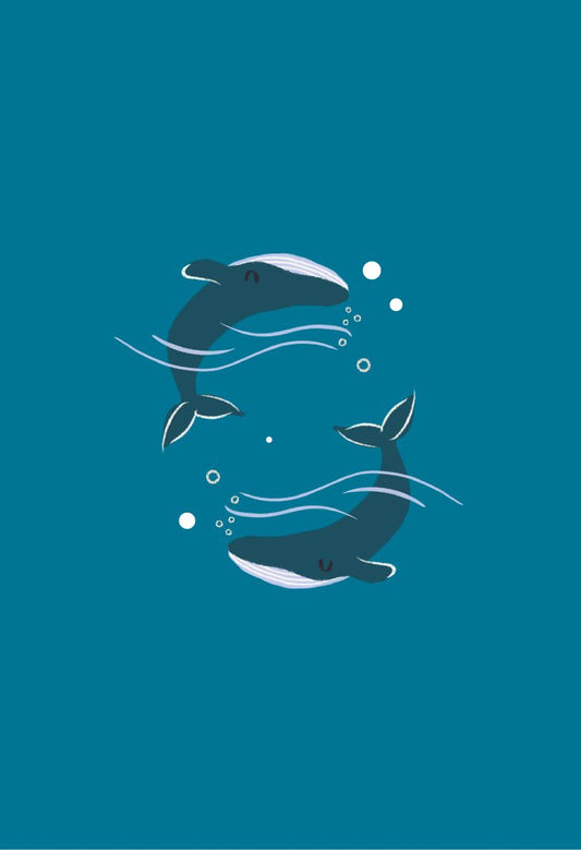 Wide Awake At 3am? single Clementine Shop 