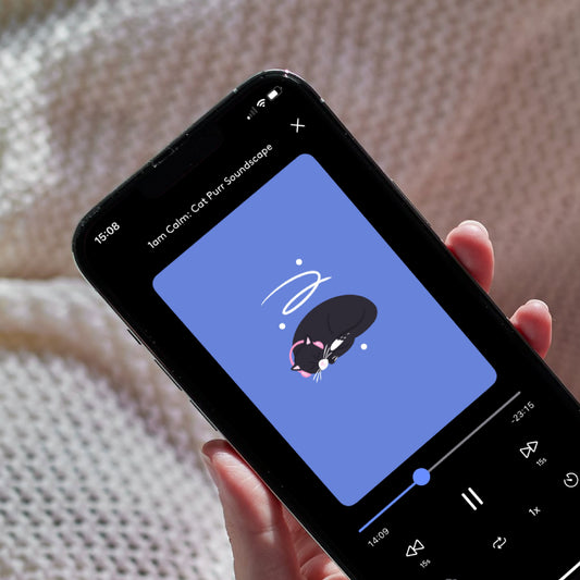 1am Calm: Cat Purr Soundscape single David Hughes 