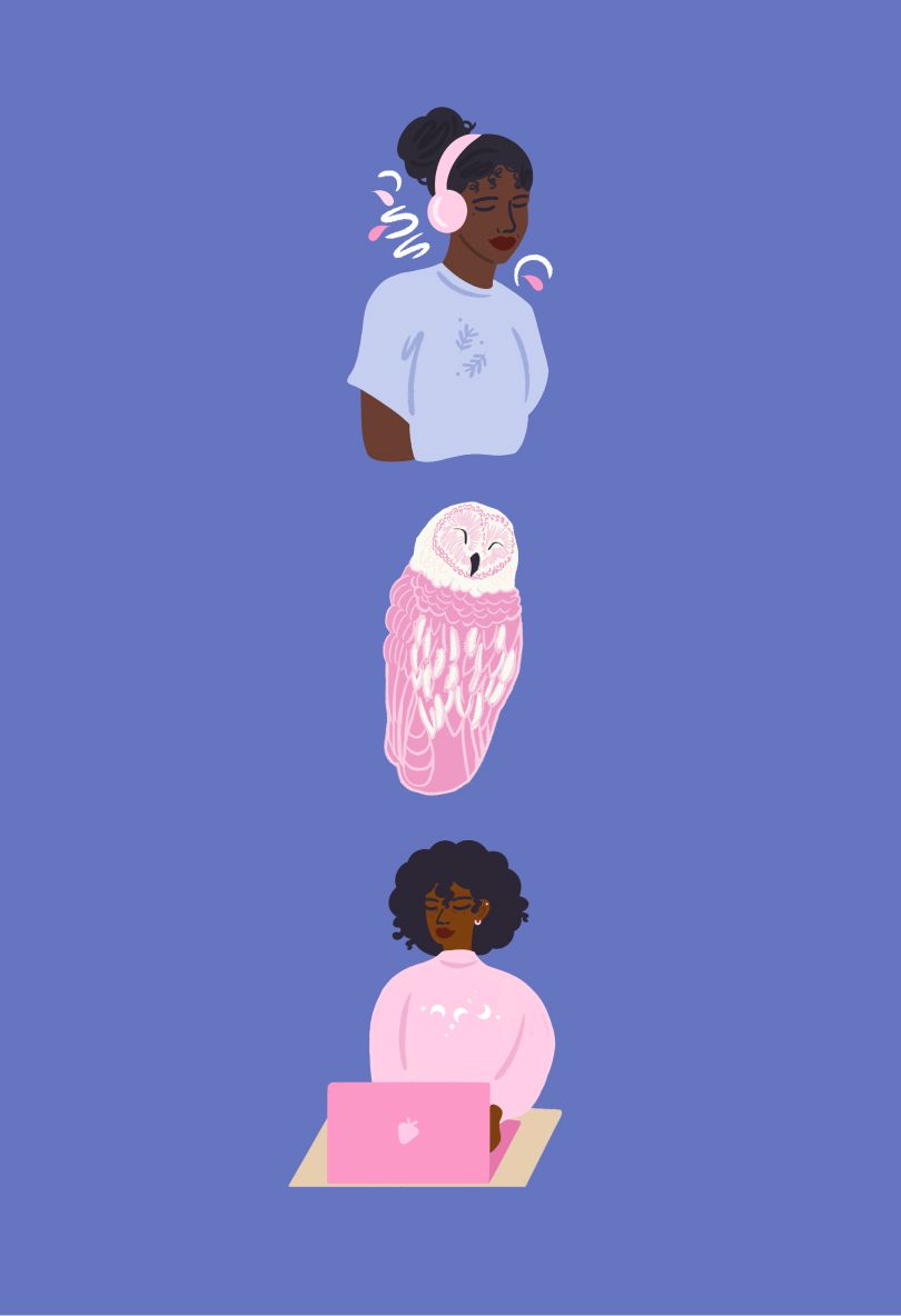 Better Boundaries Bundle bundle Clementine Digital Library 